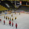 ZOH s RoT aneb Černá a žlutá
